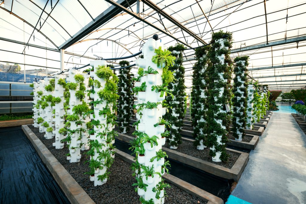 Plásticos para Agricultura