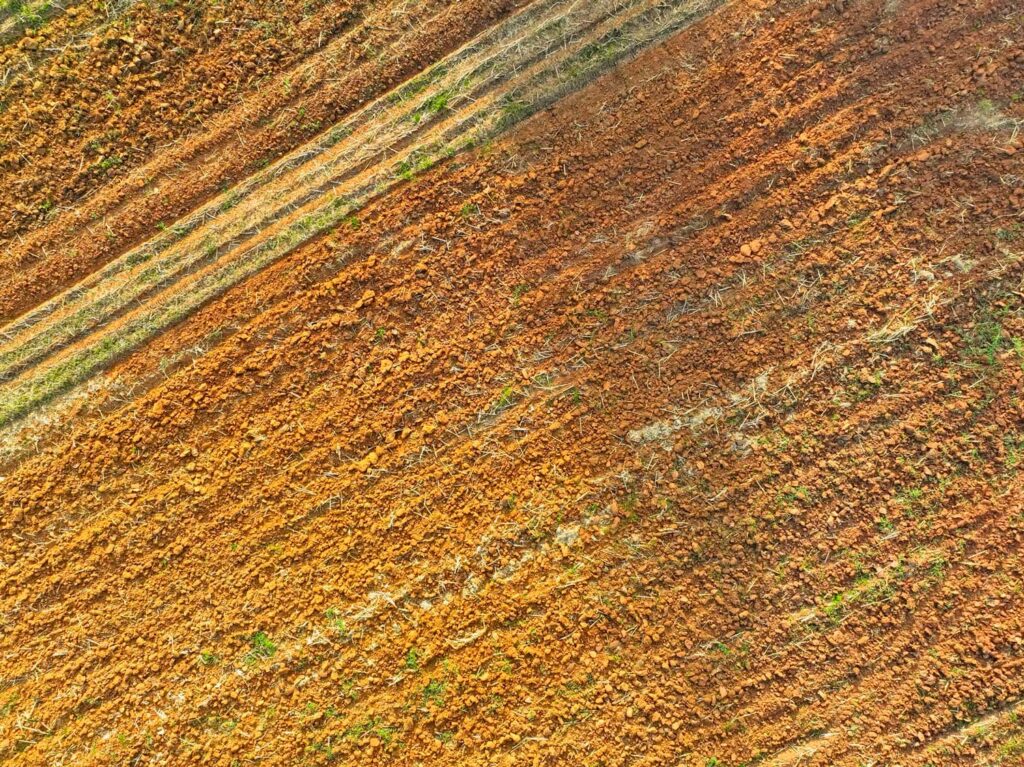 Agricultura Regenerativa