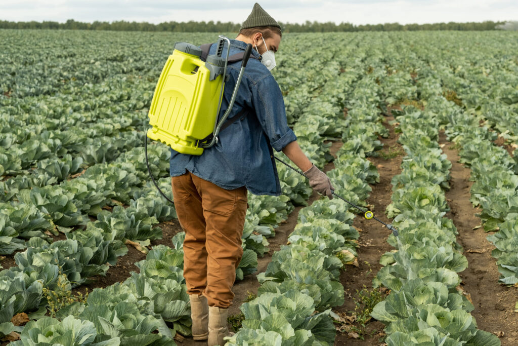 Uso de Fertilizantes