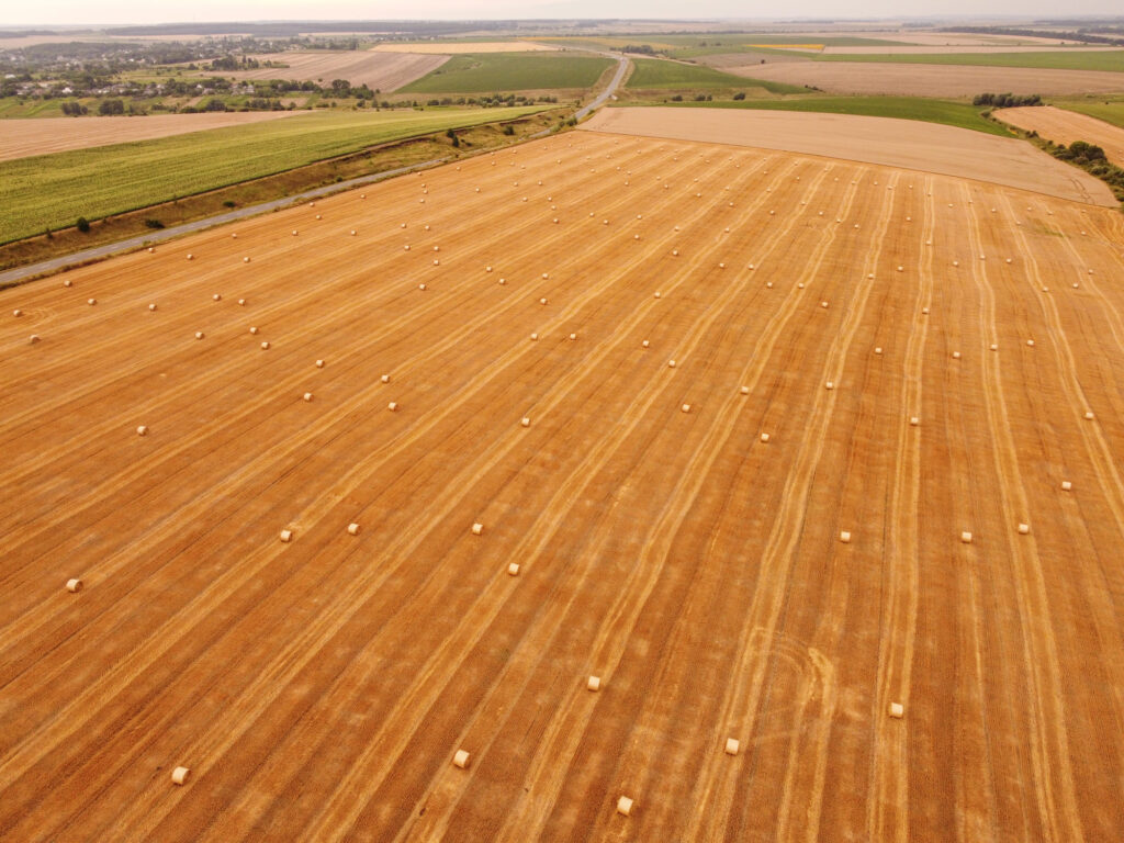 Rotación de Cultivos en la Agricultura Sostenible