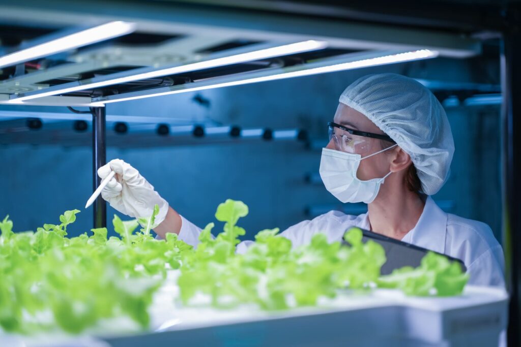 producción agrícola ecosostenible