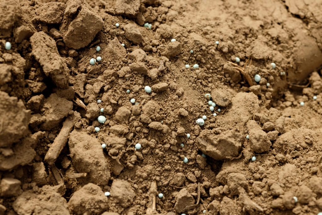 Suelos Erosionados, Impacto y Soluciones