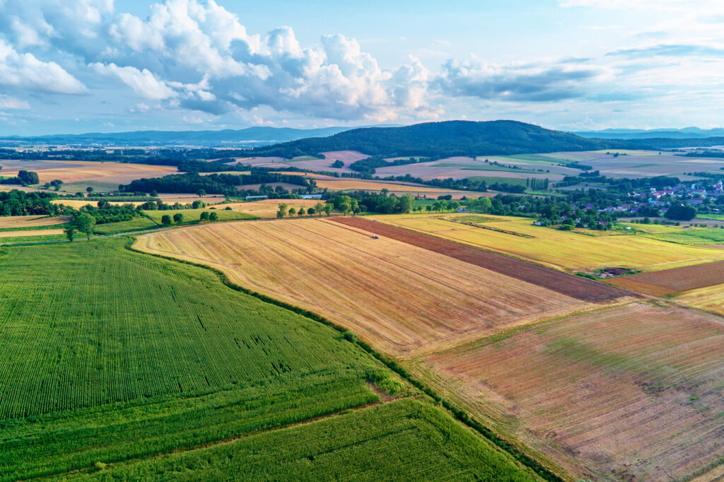 Beneficios de la Agricultura Intensiva: Un Enfoque Informativo