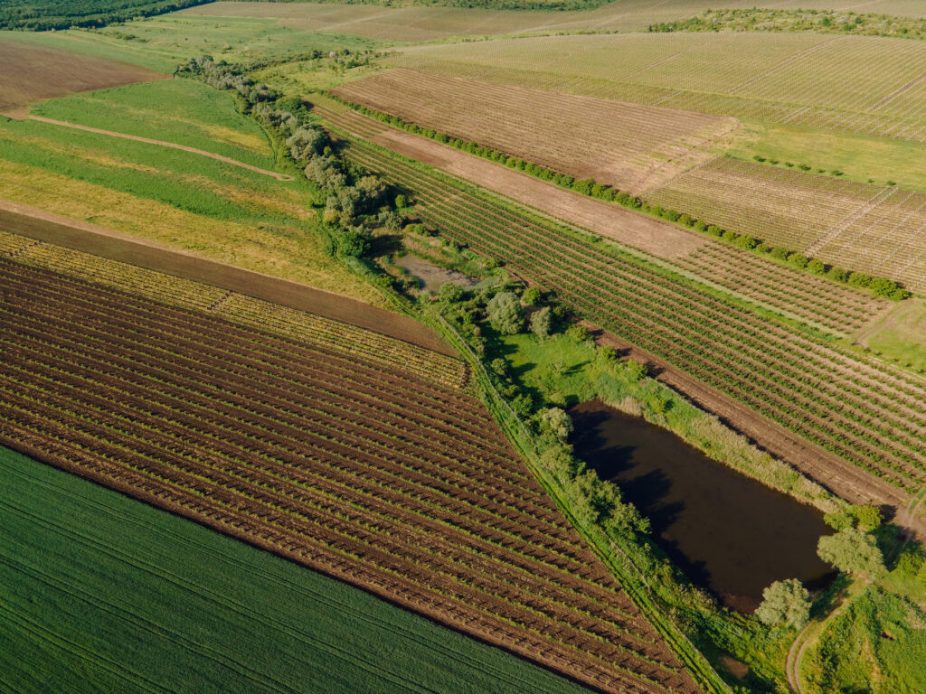 Agricultura de Conservación