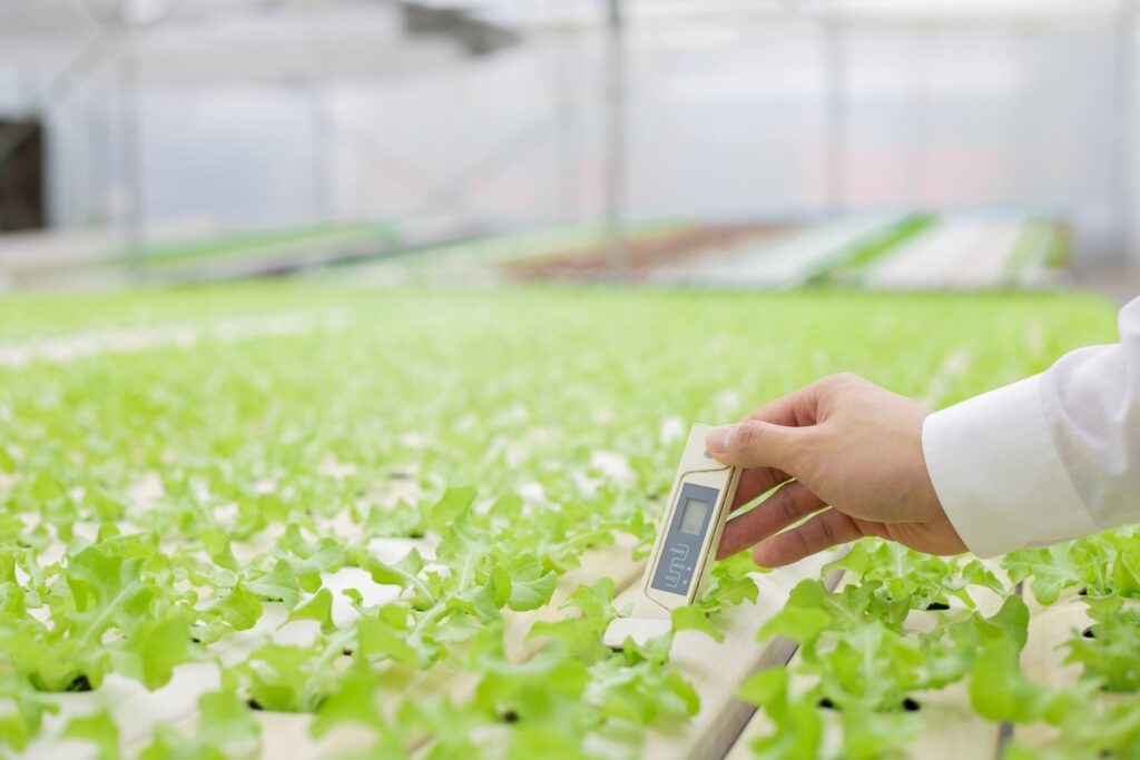 La Importancia de la Monitorización de pH y CE en Hidroponía