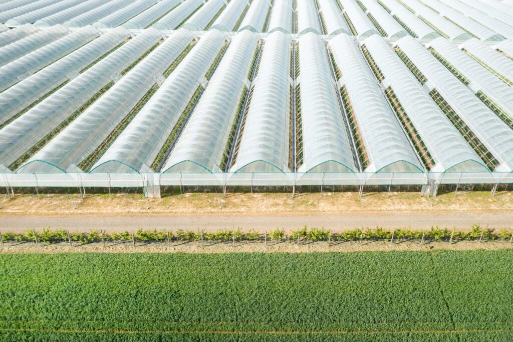 Guía Completa sobre Invernaderos Agrícolas: Beneficios y Tipos