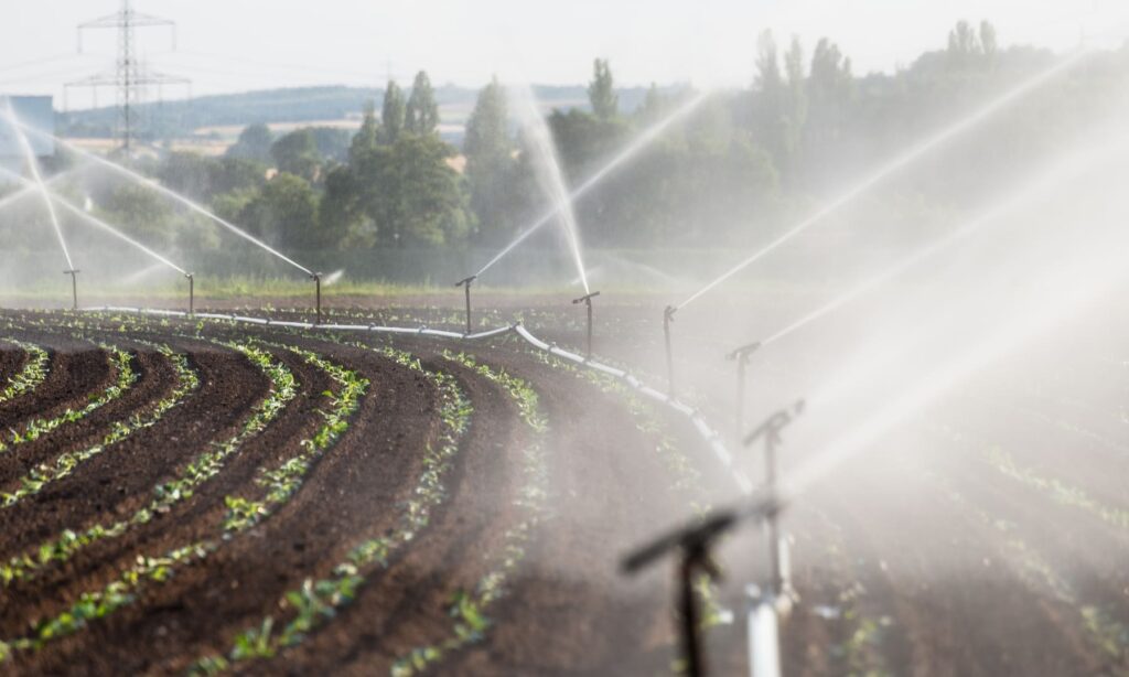 Técnicas de riego eficiente en la agricultura