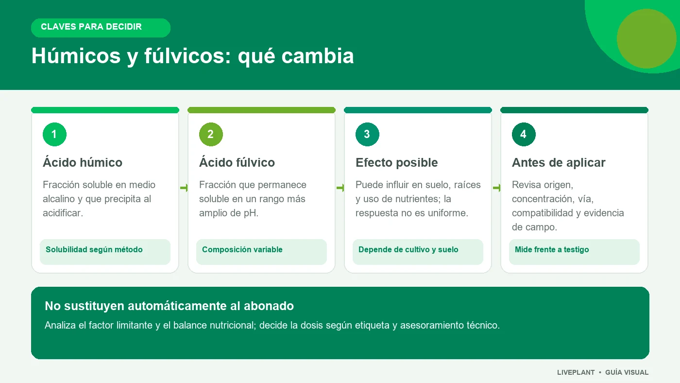 Infografía sobre diferencias, efectos posibles y criterios de uso de los ácidos húmicos y fúlvicos